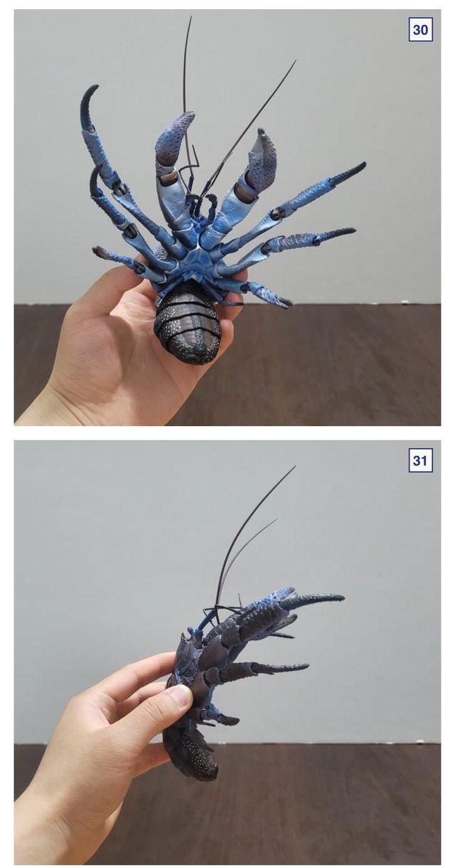 🦀싱글벙글 9만원짜리 코코넛 크랩.jpg