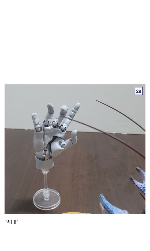 🦀싱글벙글 9만원짜리 코코넛 크랩.jpg