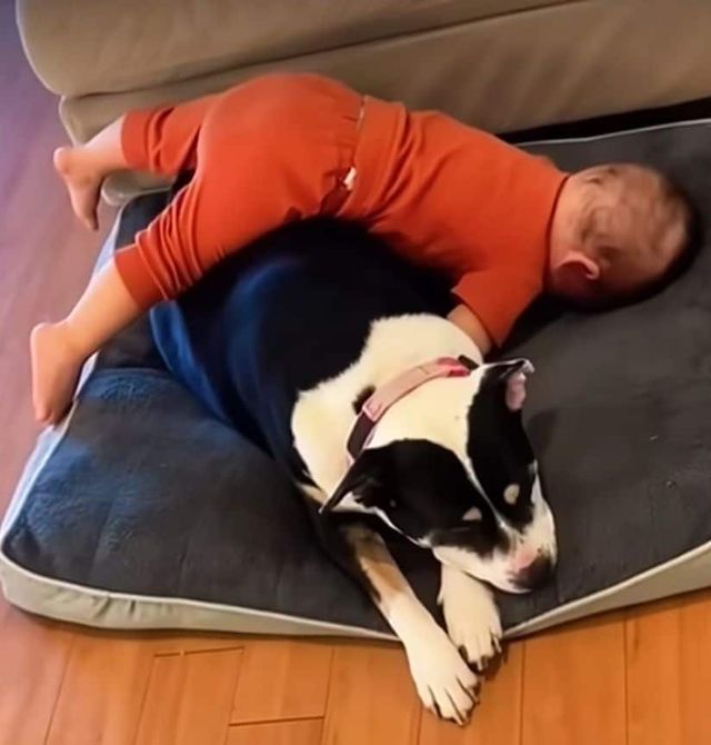 아기들의 다양한 잠자는 자세