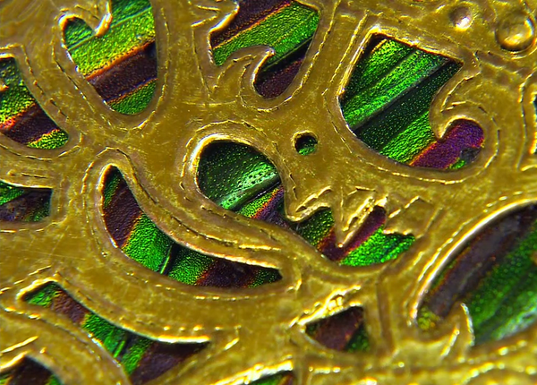 벌레로 만들었던 신라시대 유물