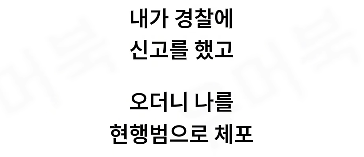 자기 집에서 주거침입으로 체포된 남자