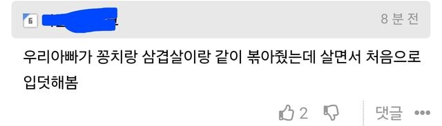 살면서 입덧이란걸 처음 경험해본 개붕이.jpg