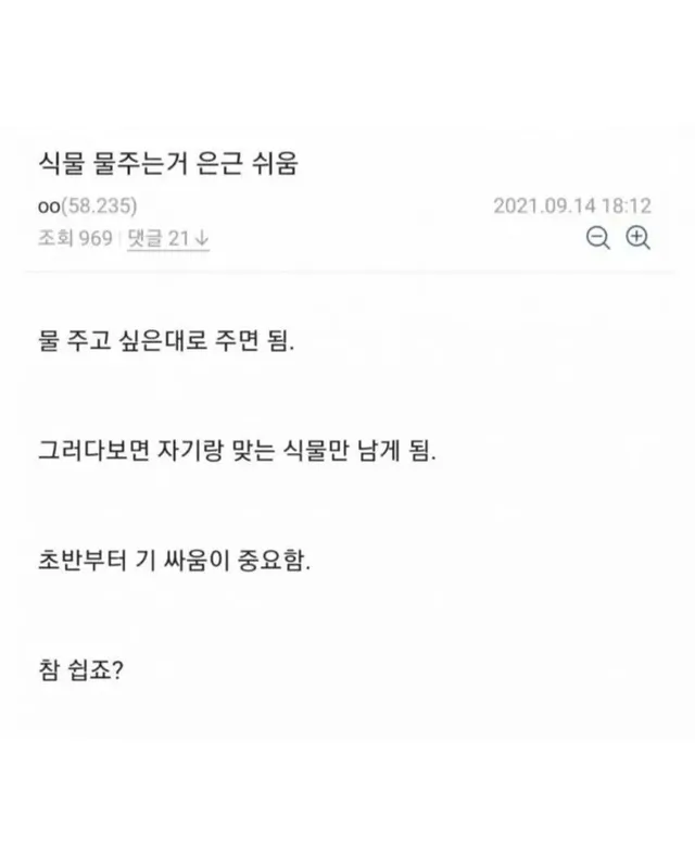 식물에 물 주는 횟수와 양을 모를 때 좋은 방법