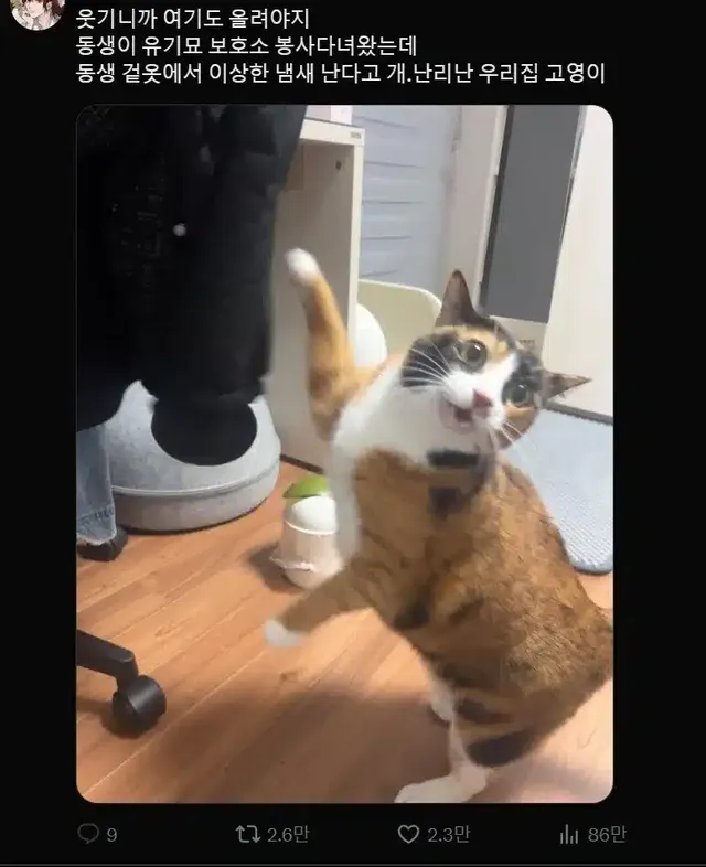 냄새 맡아서 외도를 발견한 상황