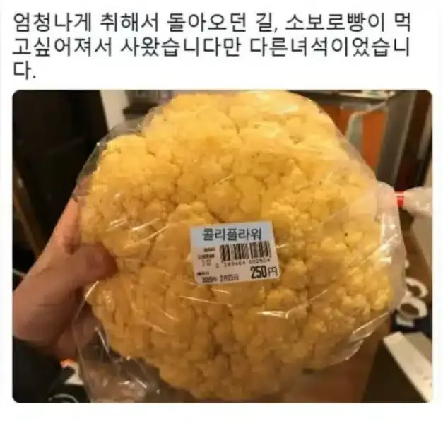 술 취해서 사온 소보로빵.
