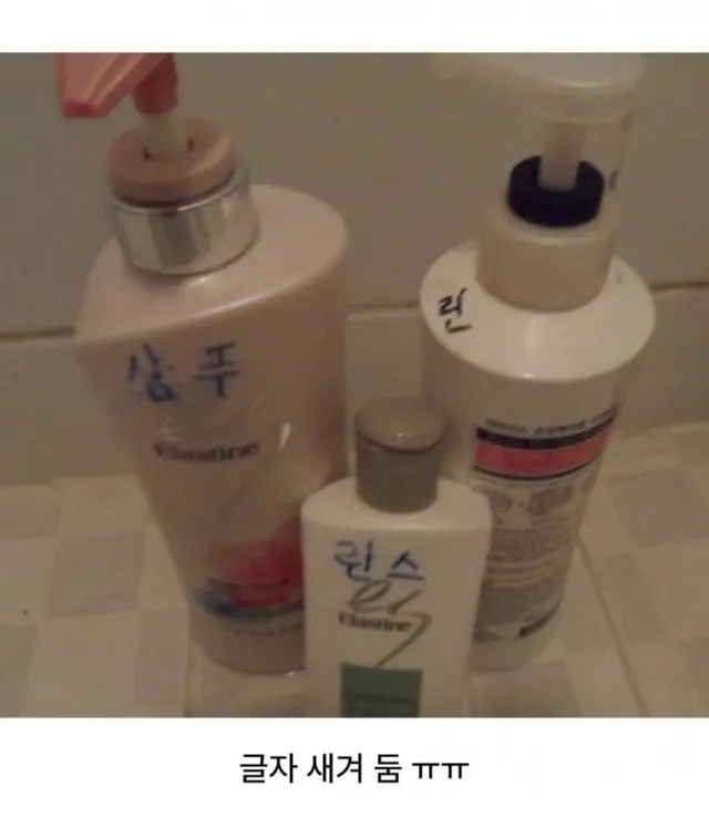 할머니 댁 가야 볼 수 있는거