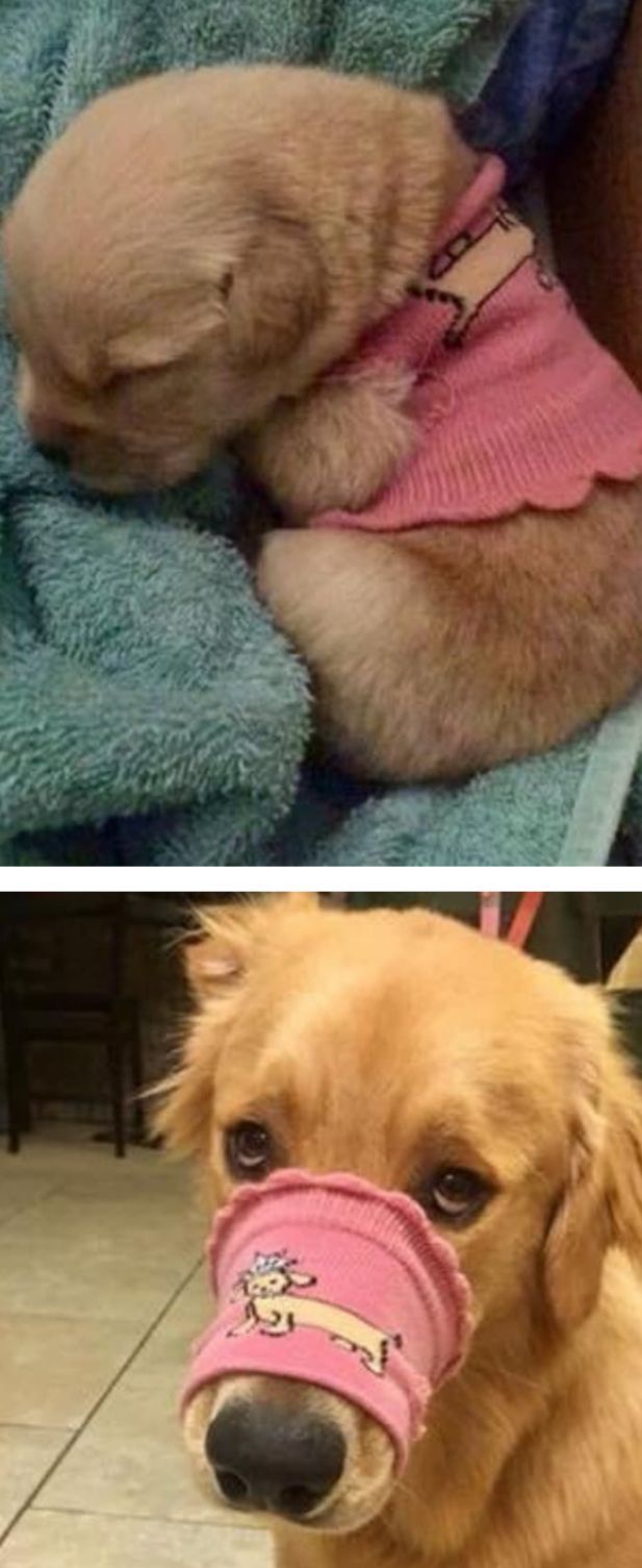 어렸을 때 입었던 옷 커서 입으려 해보니....