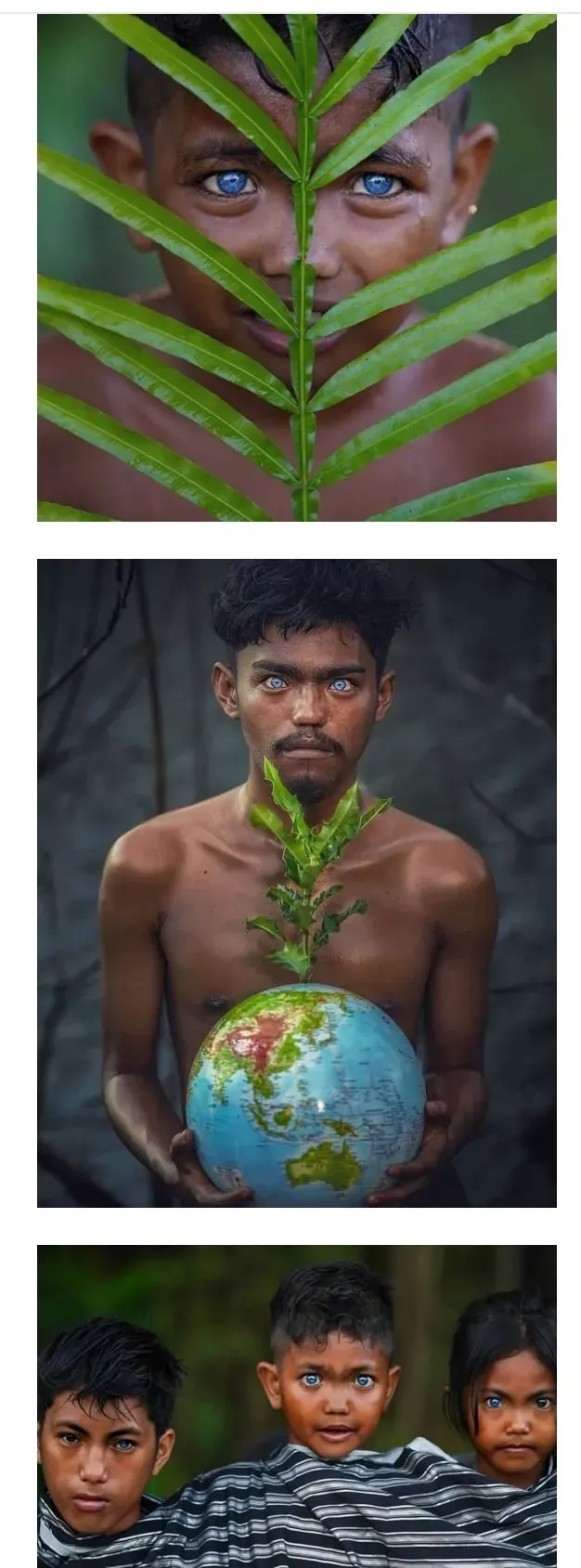 푸른 눈의 부족인들