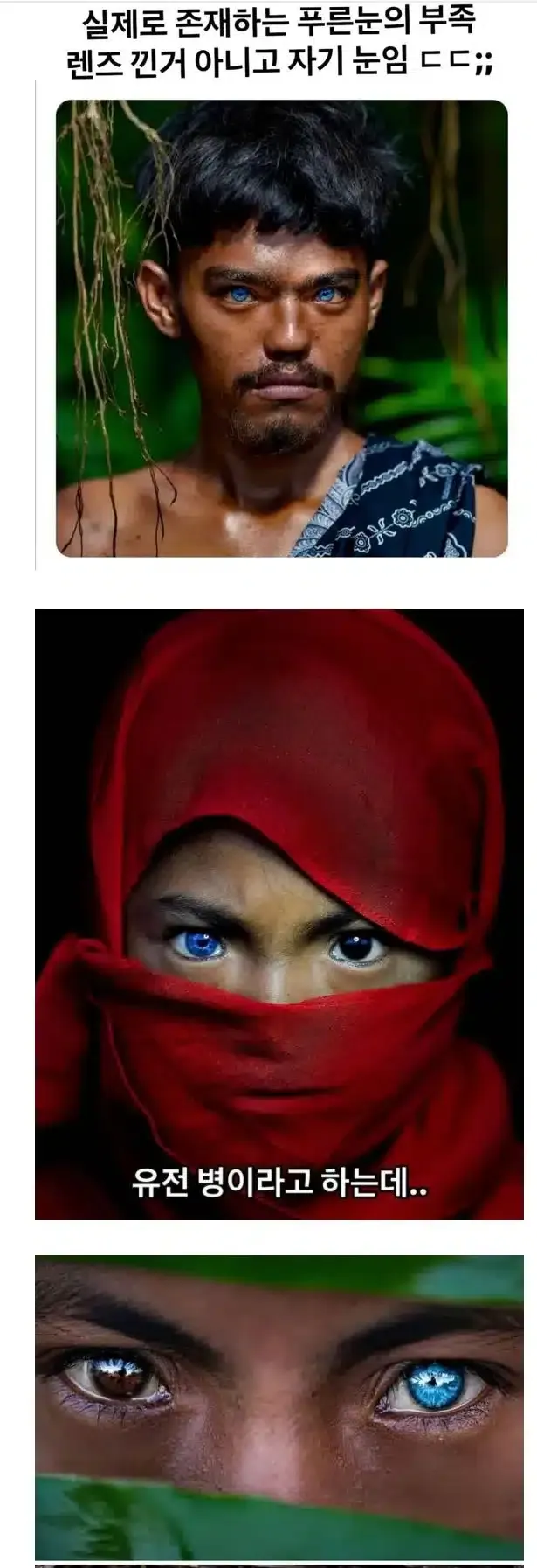 푸른 눈의 부족인들