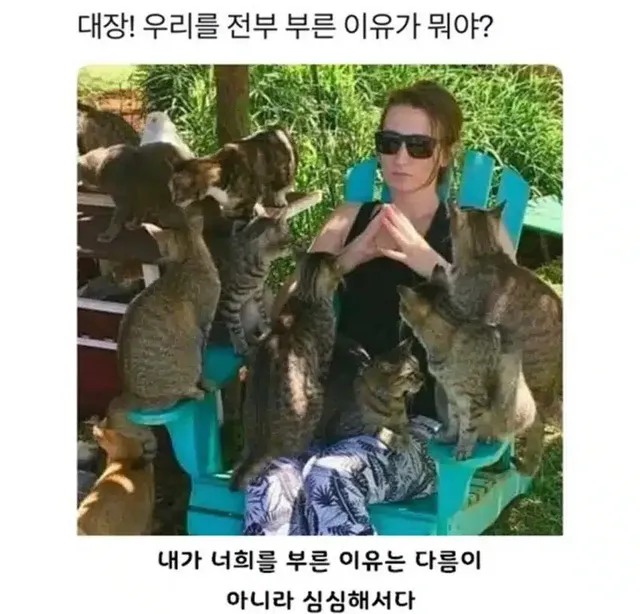 대장 우릴 전부 부른 이유가 뭐냥
