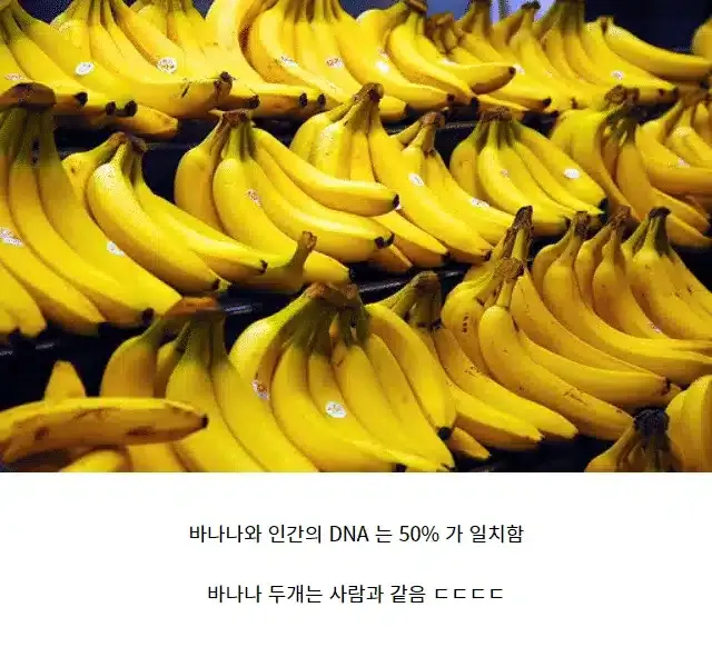 충격적인 인구의 사실