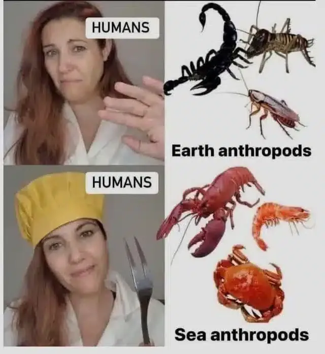 같은 종류지만 다른 취급