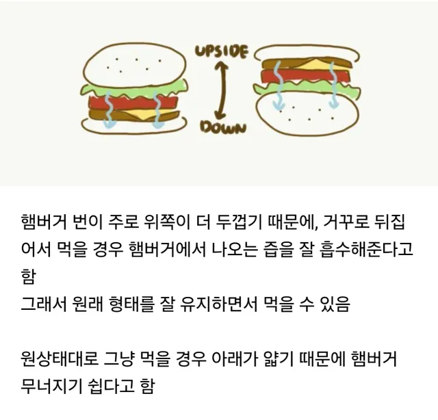 햄버거를 거꾸로 먹어야하는 이유.gif