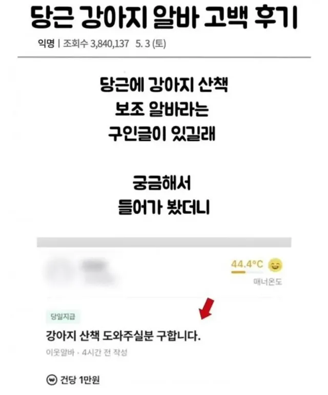 당근 강아지 알바 고백 후기