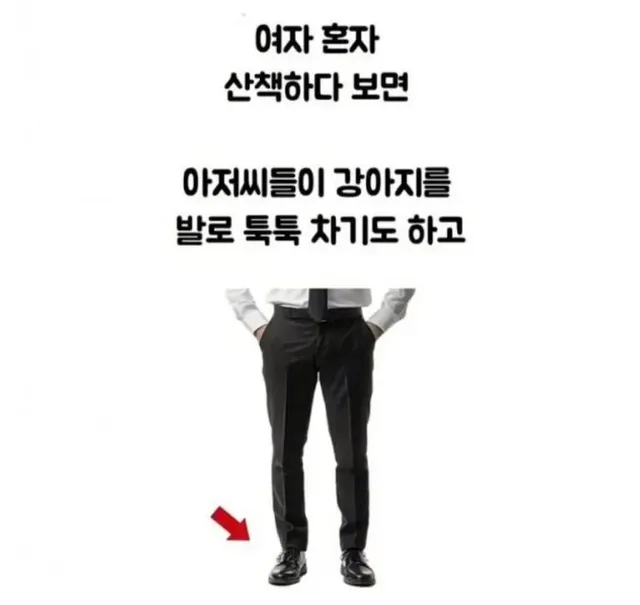 당근 강아지 알바 고백 후기