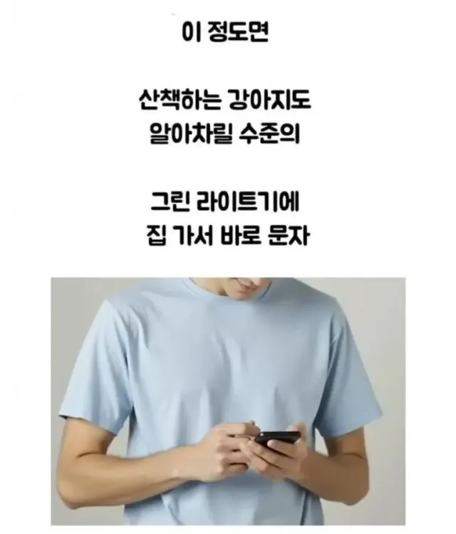 당근 강아지 알바 고백 후기