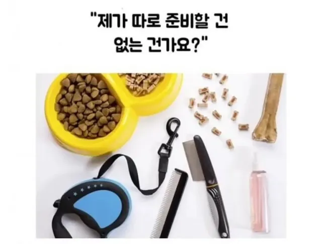 당근 강아지 알바 고백 후기