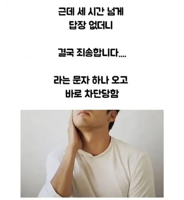 당근 강아지 알바 고백 후기