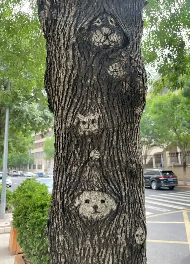 강아지 3마리 다람쥐 1마리 고양이 1마리