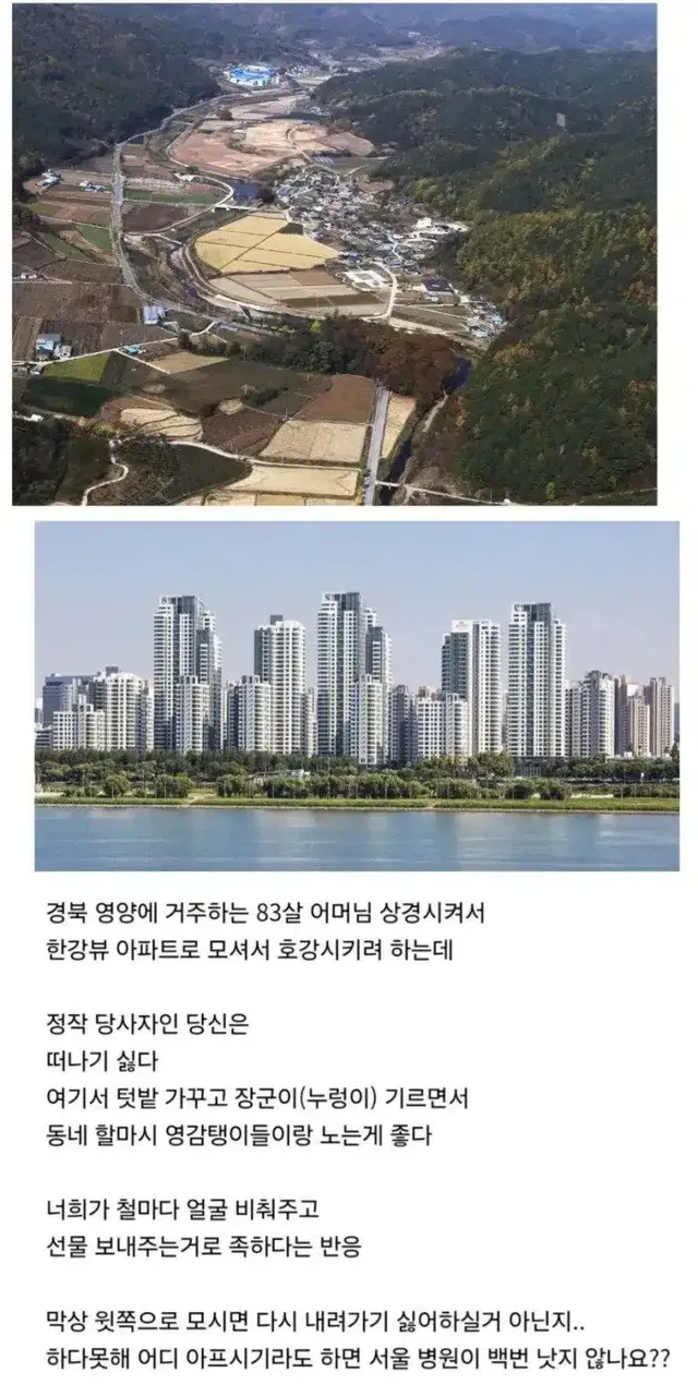 시골에 사는 부모님 한강뷰 아파트로 모시려는데 거절함