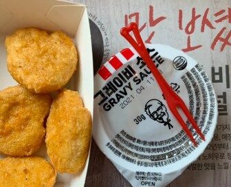 원본과 너무 다르다는 한국 KFC메뉴