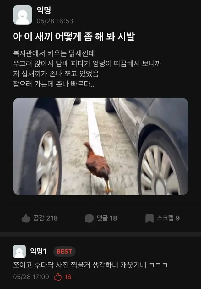 싱글벙글 요즘 치킨 근황.jpg