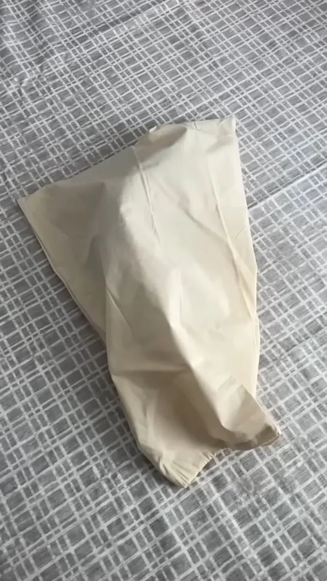 고양이 침대 3달러 vs 350달러 제품 대결