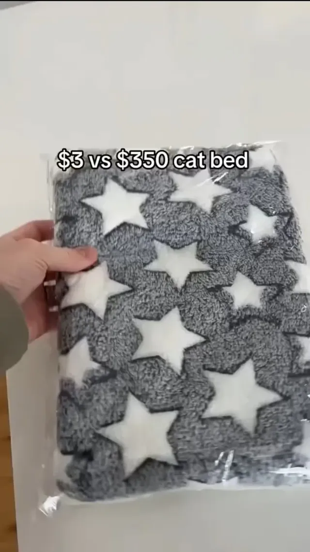 고양이 침대 3달러 vs 350달러 제품 대결