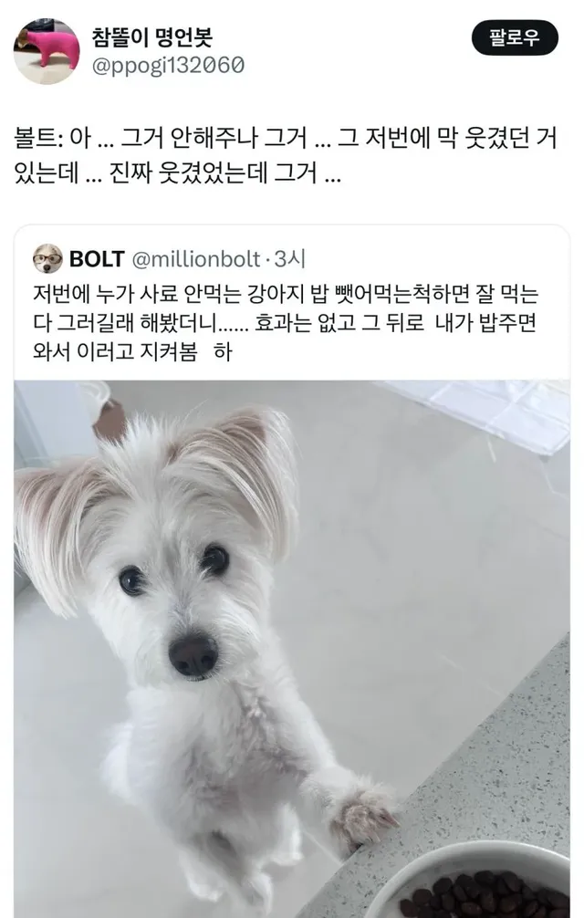 저번에 누가 사료 안먹는 강아지 밥 뺏어먹은 척 하면 잘 먹는다 그러길래 해봤더니..…