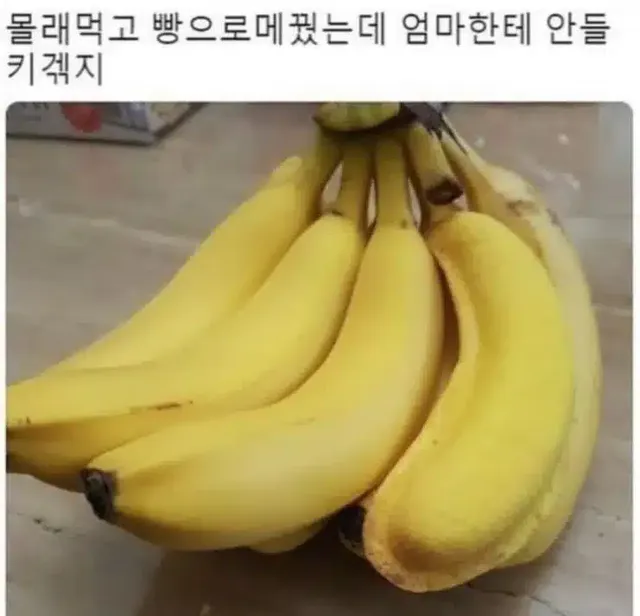 ???: 바나나 상태가 왜이래??!!