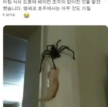 강도에게 음식뺏긴 호주인