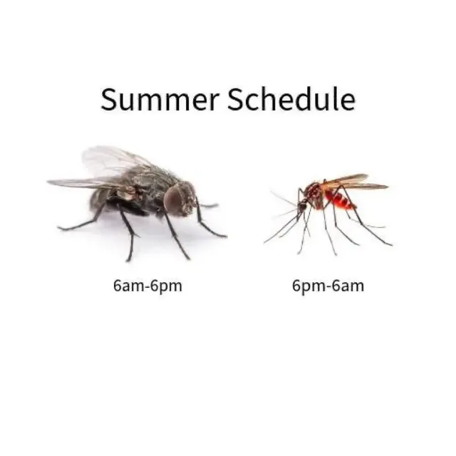 여름 근무 스케줄입니다. 다들 착오 없으시길 바랍니다.