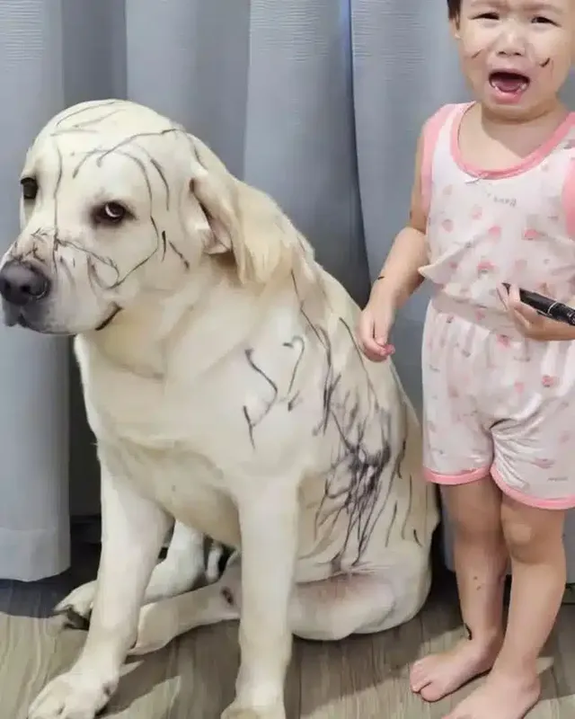 옐로카드 9999장째