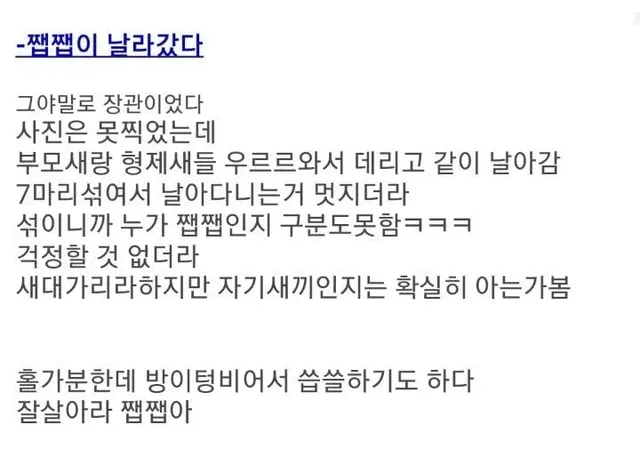 둥지에서 버려진 제비 구한 후기