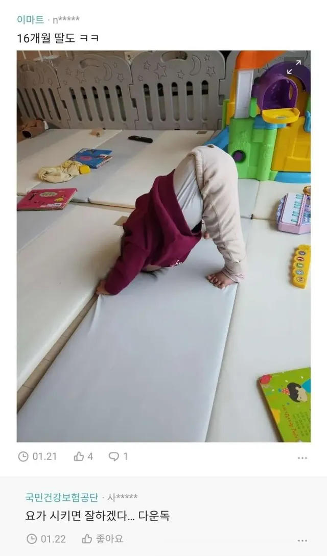 특정 나잇대 애기들이 한다는 그 자세