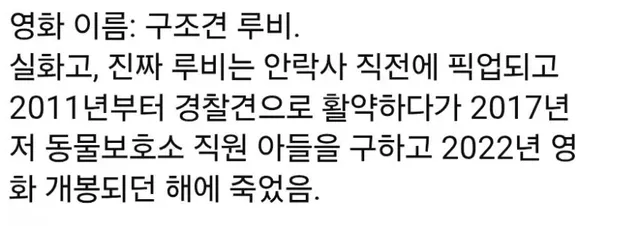 경찰견이 되어 은혜갚은 댕댕이