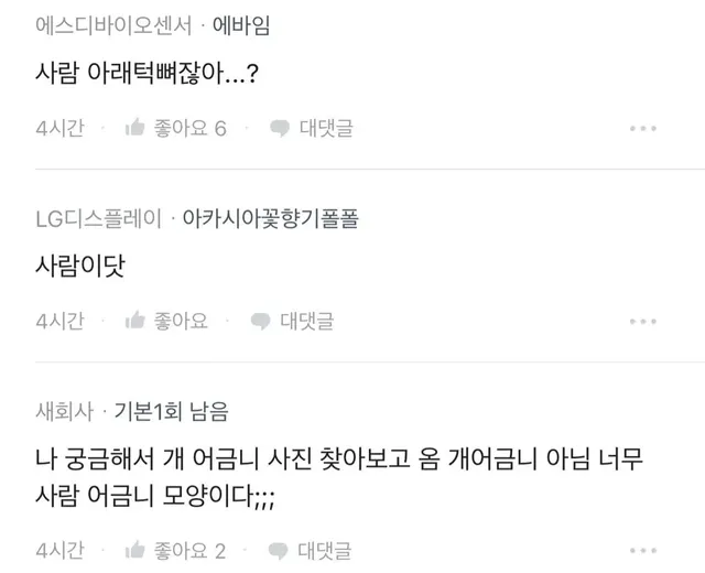 밭에서 이상한 뼈를 본 블라인 ㅎㄷㄷ;;.jpg