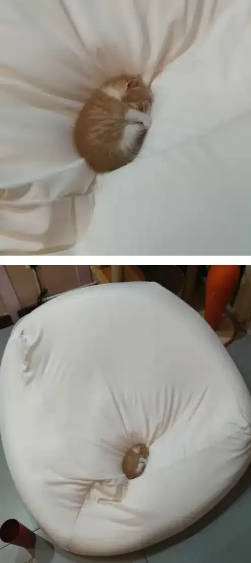 침대를 너무 큰 걸로 샀나