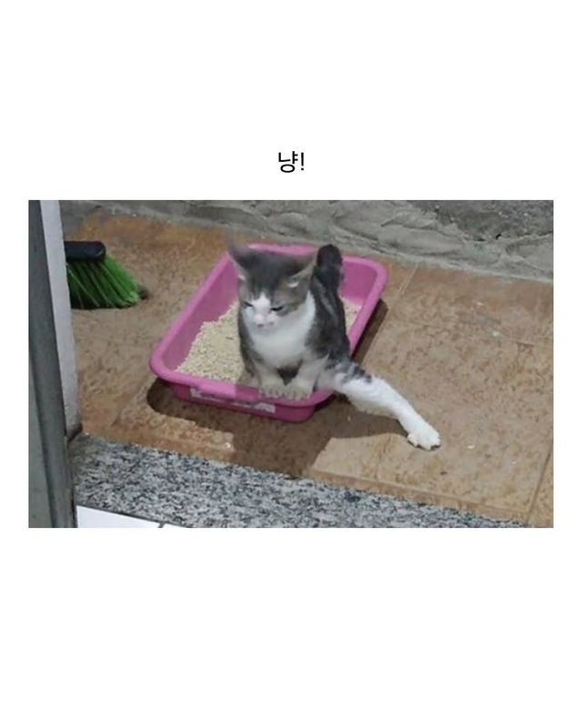 고구려식 인사법.jpg