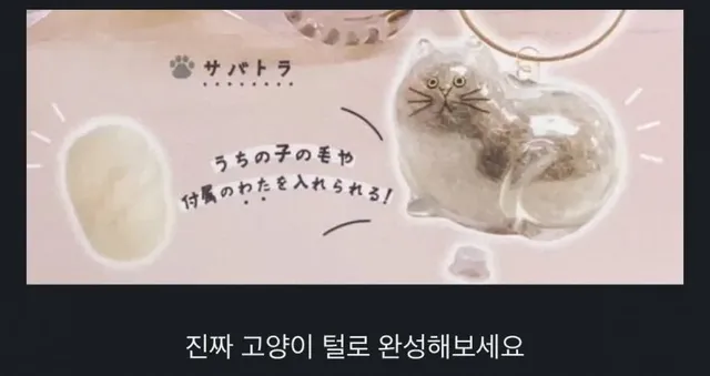 일본에서 출시한 고양이 굿즈