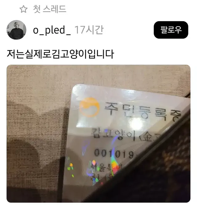 저는 실제로 김 고양이 입니다