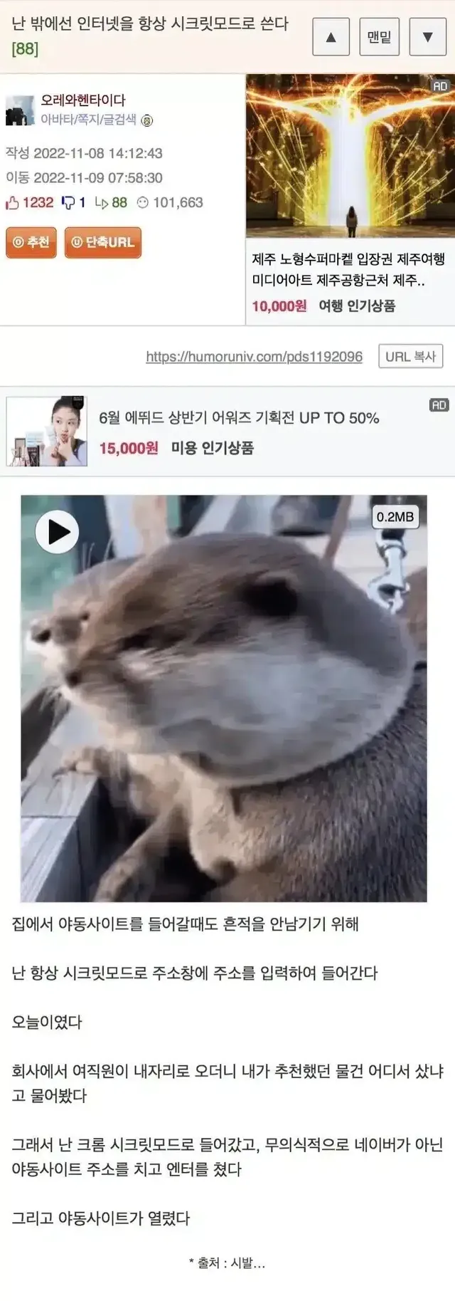 난 밖에선 인터넷을 항상 시크릿모드로 쓴다