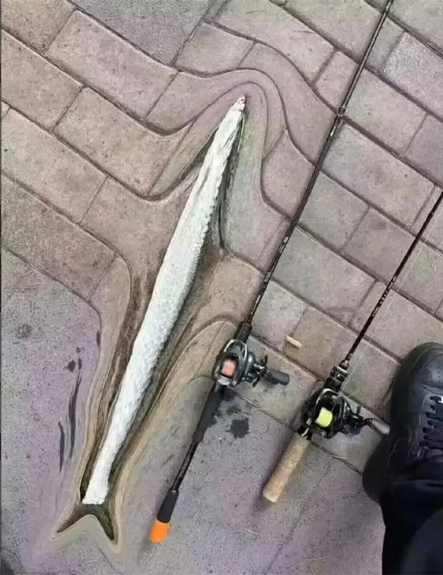 월척 낚았다 ㅎㅎ