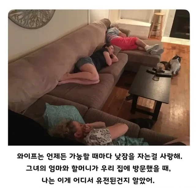와이프의 신기한 집안 내력