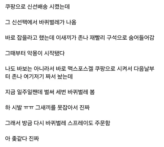 너네도 쿠팡 신선팩 조심해라