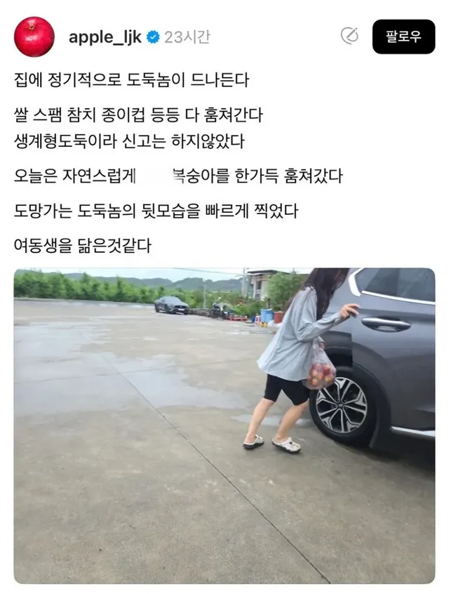 집안 살림 훔쳐가는 도둑 박제함