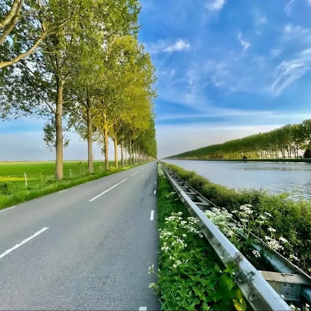 합성아님. 사진 한 장임.