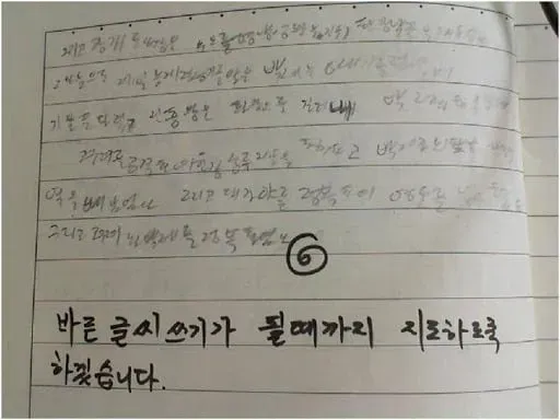 악필교정학원 피셜 진짜 악필