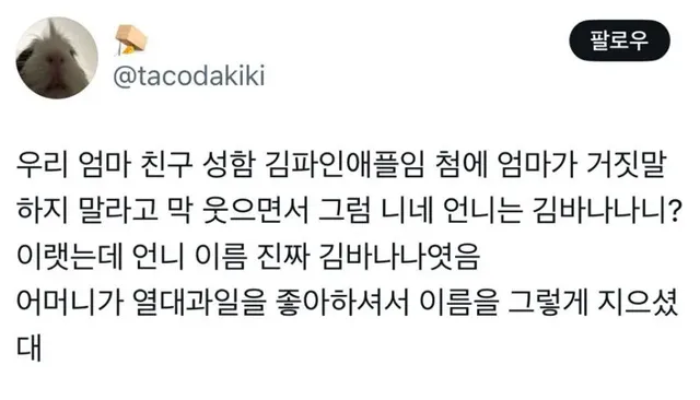 우리 엄마 친구 성함 김파인애플임