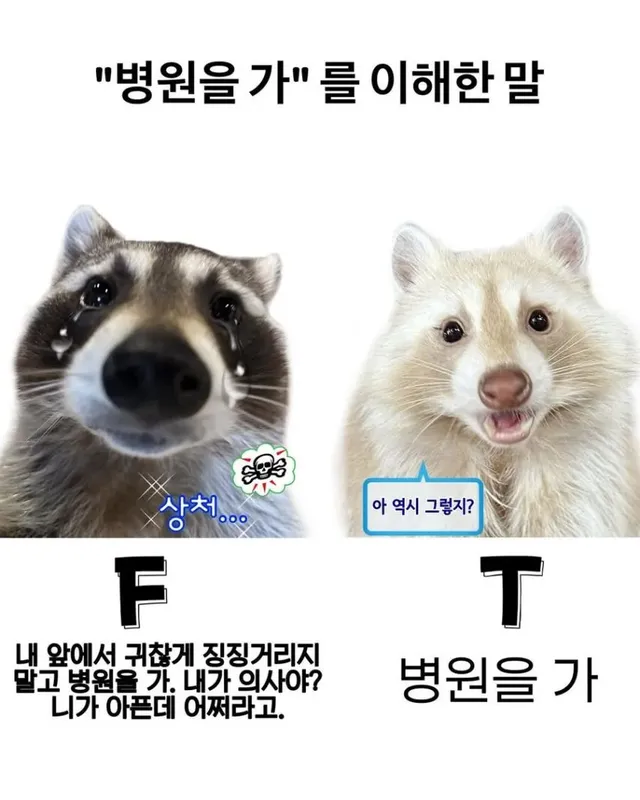 병원을 가를 이해한 말.jpg